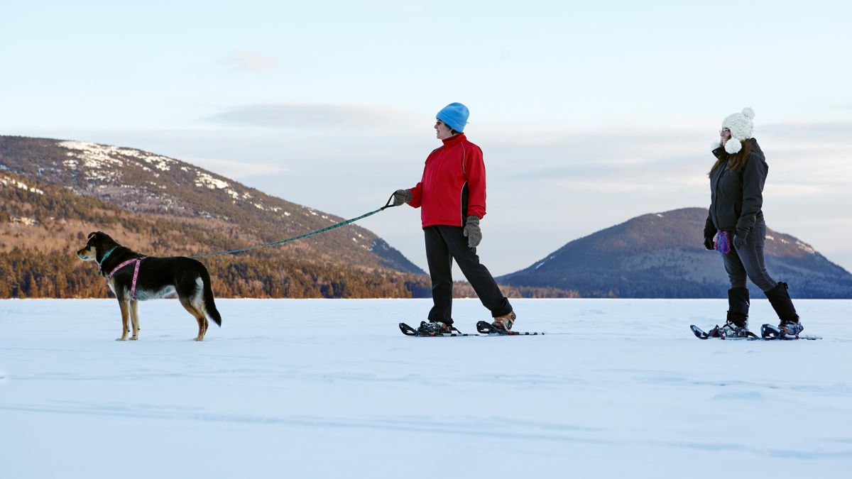 Winter in Acadia Park 