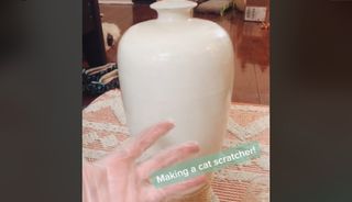 diy cat scratching post vase