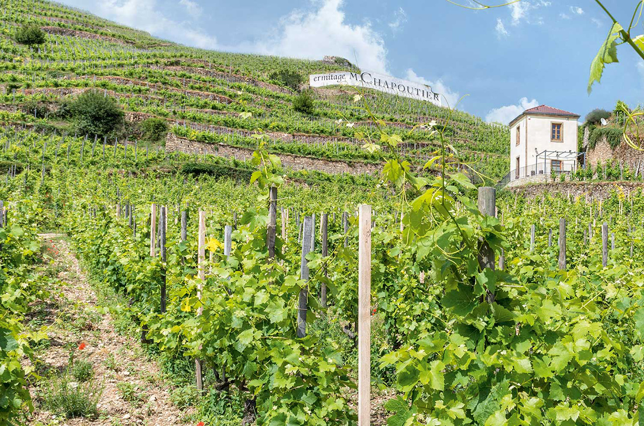 Chapoutier S&eacute;lections Parcellaires 2020