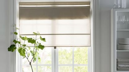 Neutral linen blind on kitchen window with shelving and tableware on right