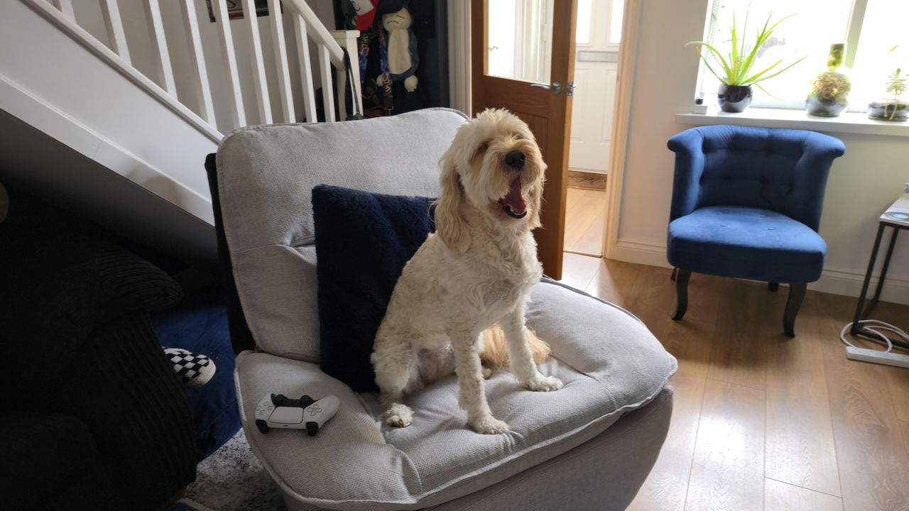 FlexiSpot Swivel and Rocker Recliner