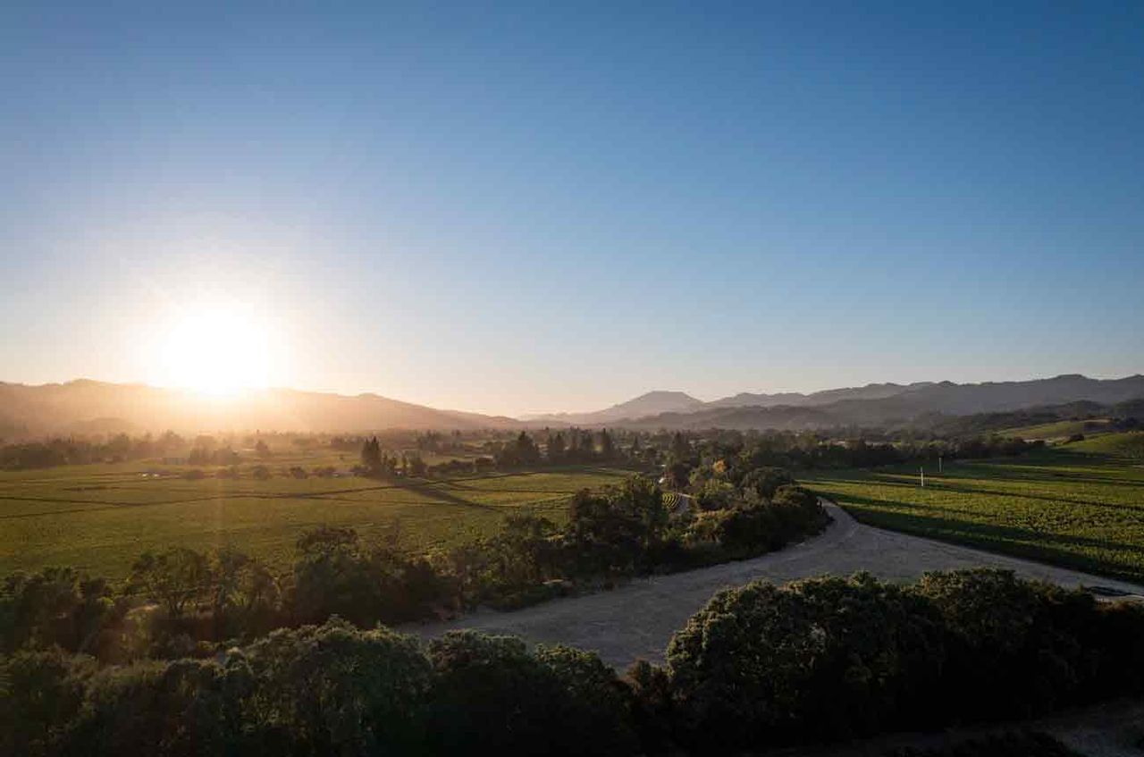 Rutherford and St Helena 2021 Cabernets