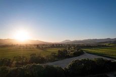 Rutherford and St Helena 2021 Cabernets