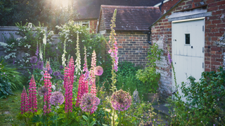garden
