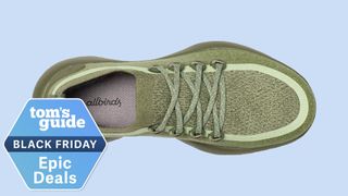 The Allbirds running shoe on a blue background