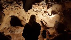 We see the backs of two people in a dark cave. There is a light illuminating the wall, where there are faint engravings.