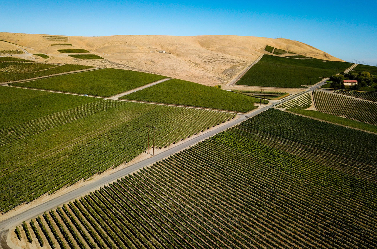 Red Mountain 2018 red wines.