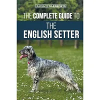 Complete Guide To The English Setter