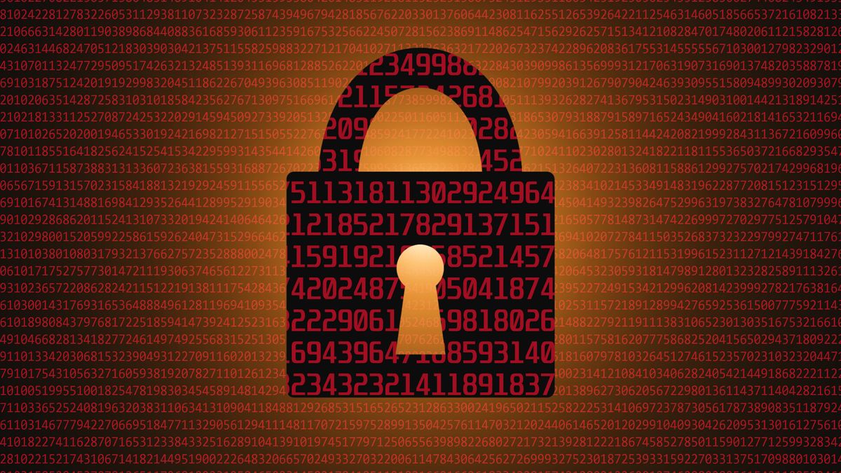 Widespread internet shutdown reported in Tanzania during general election – here's everything we know