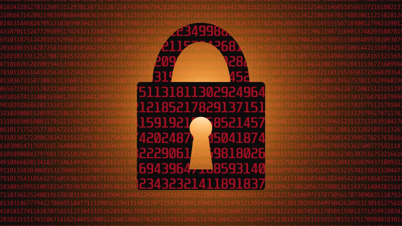 Widespread internet shutdown reported in Tanzania during general election – here's everything we know