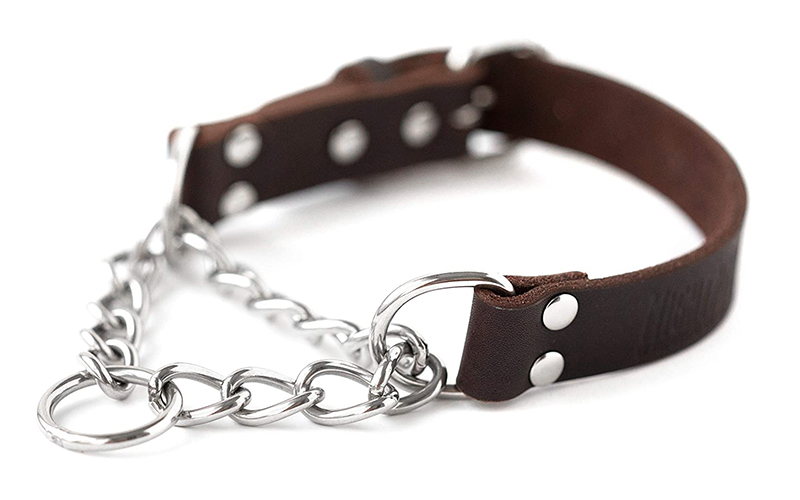 Mighty Paw Leather Training Collar