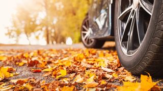 Leaves on a driveway and under a cars wheels