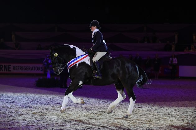 HorseNo1277_HOYS_PN16_4058-e1476025320361.jpg