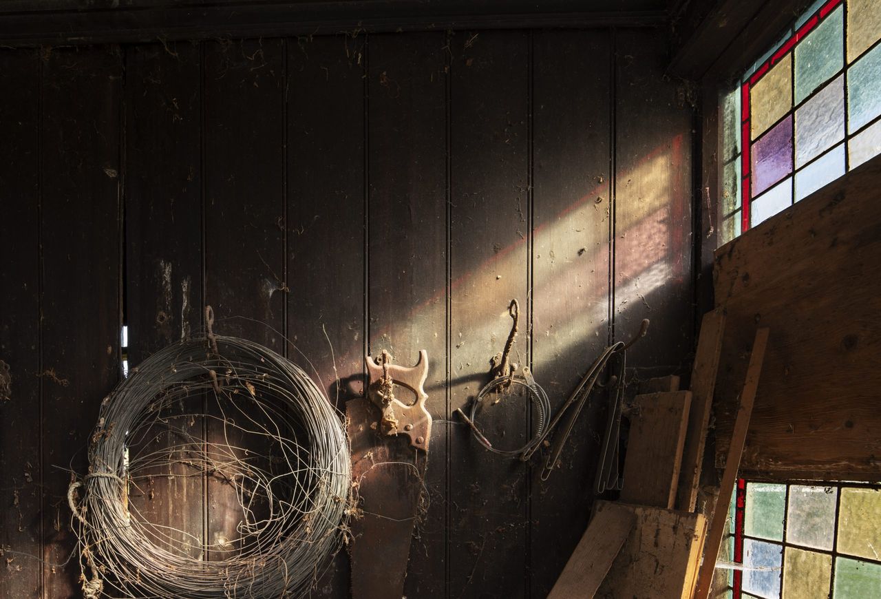 A kind of magic: Inside one of the allotment sheds at Stoney Road Gardens, Coventry.