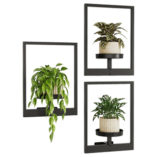 Picture Frame Wall Plant Holders from Amazon