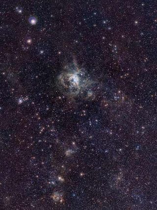 Baby Stars Sparkle in New Photo of Tarantula Nebula