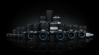 Best Canon RF lenses