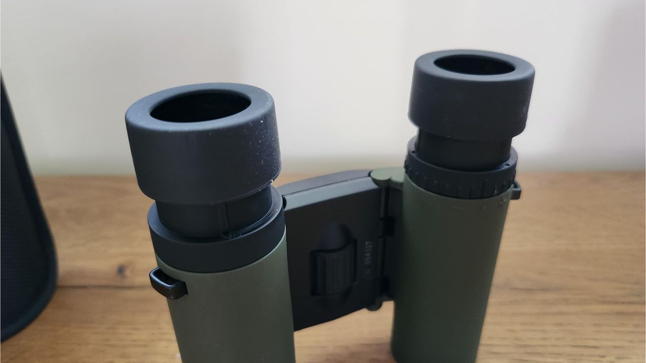 View of eyecups
