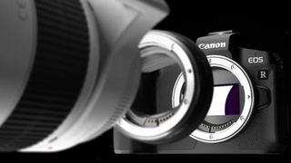 Canon EOS R + bague + objectif EF