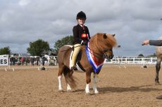 Heritage-Show-11.10.1925498_351834172_587470782.jpg
