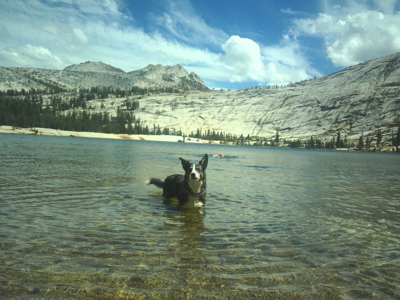 Sample image taken with Portal AFN7