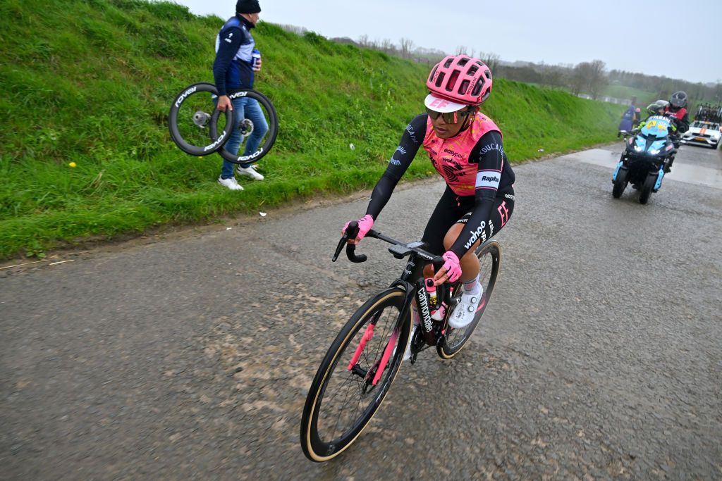 OUDENAARDE BELGIUM MARCH 31 Coryn Labecki of The United States and Team EF EducationCannondale competes during the 21st Ronde van Vlaanderen Tour des Flandres 2024 Womens Elite a 163km one day race from Oudenaarde to Oudenaarde UCIWWT on March 31 2024 in Oudenaarde Belgium Photo by Luc ClaessenGetty Images