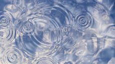 Ripples on the surface of water.