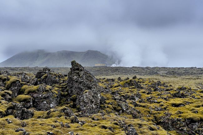 Gold Rises With Molten Rock | Live Science