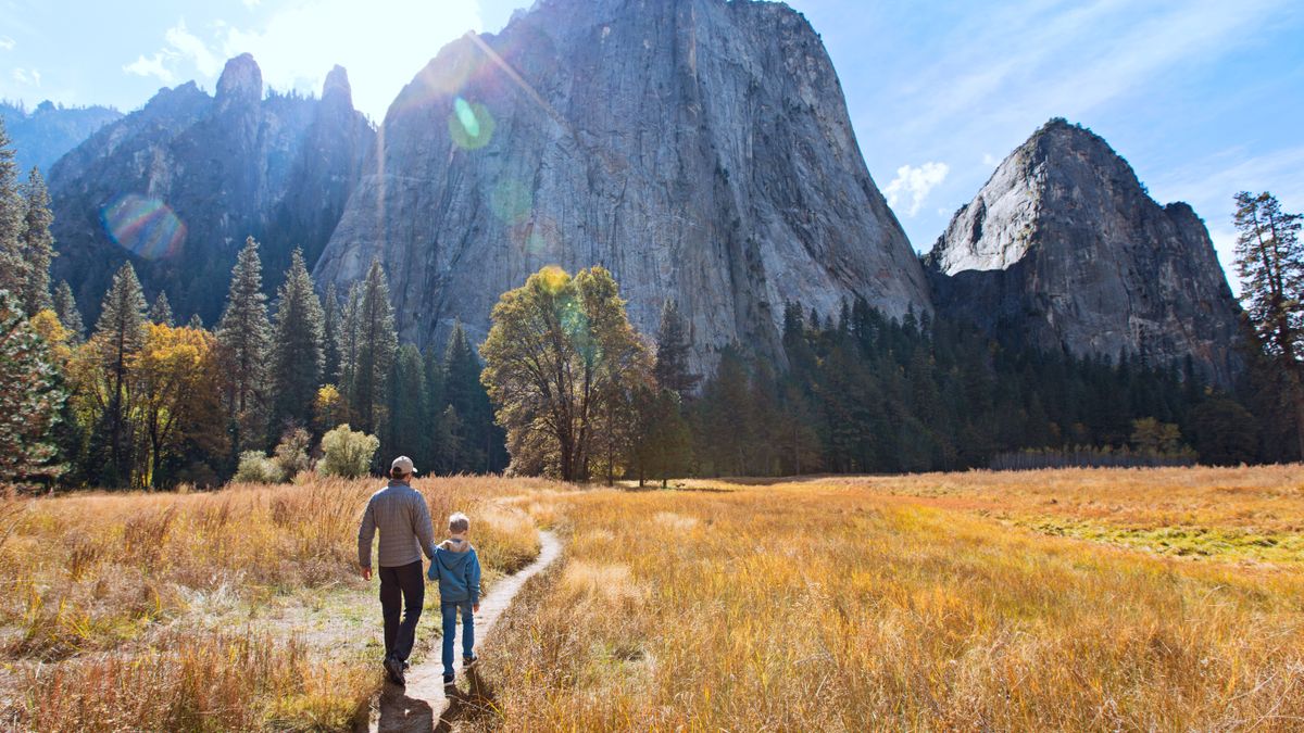 Family in yosemite