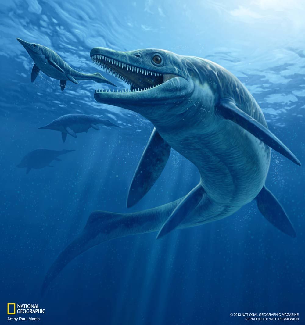 prehistoric ichthyosaur sea monster, illustration,