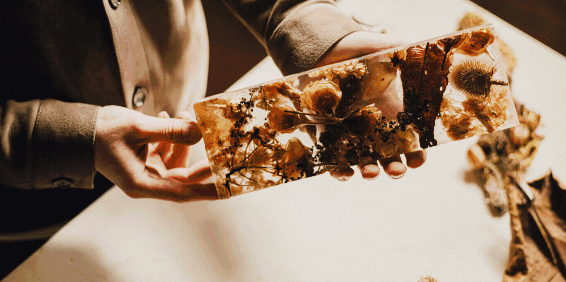 a revolving gif spotlighting photographs and artworks.