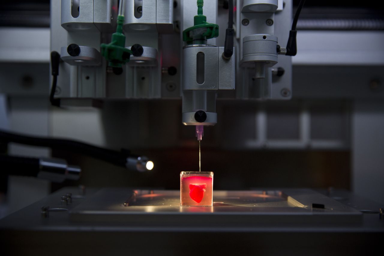 3D-printed heart. 