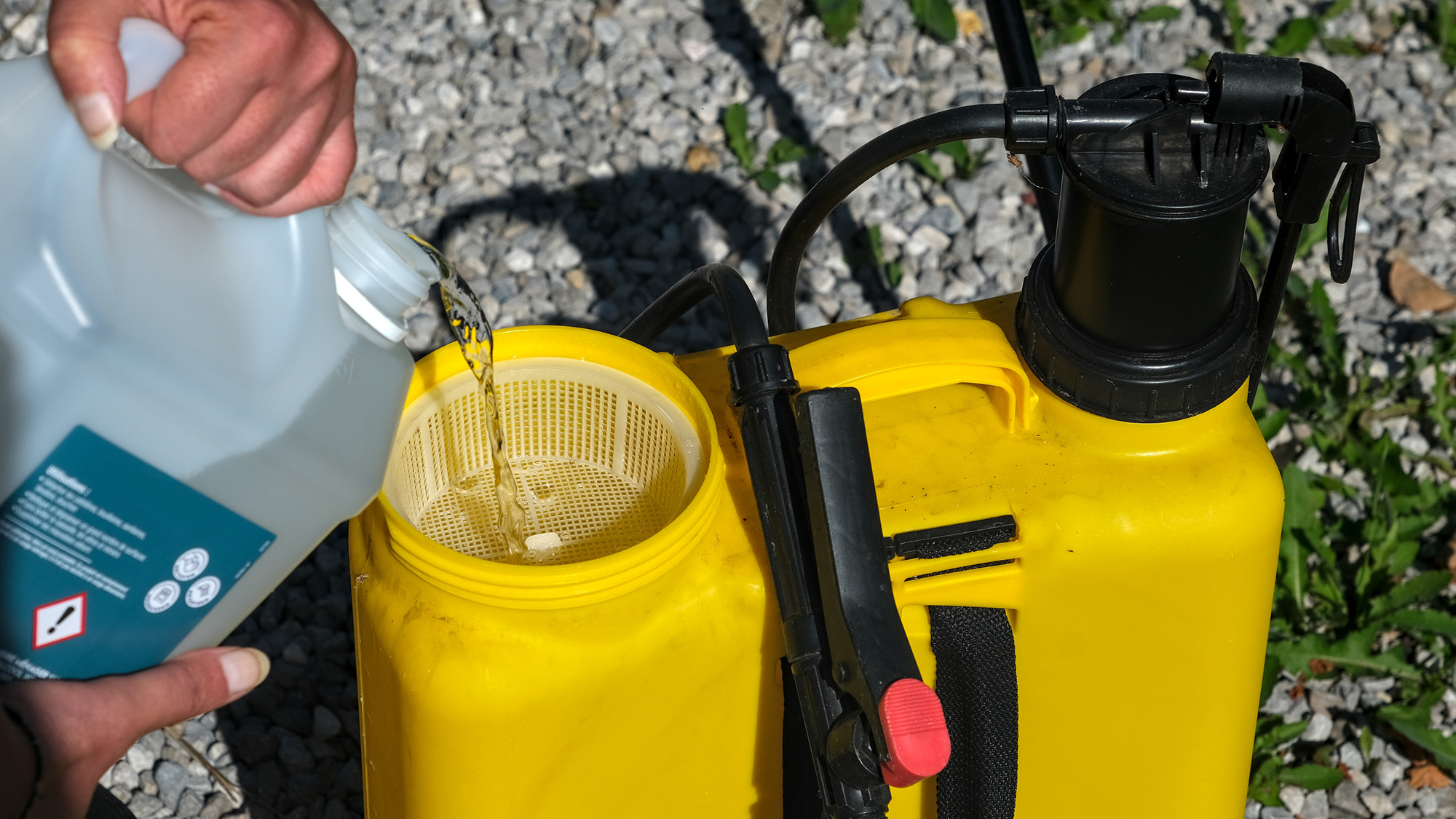 White vinegar being poured into garden sprayer