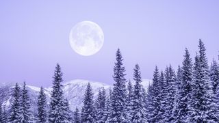 A picture of the full moon rising in a lavender sky over a snowy, tree-lined landscape