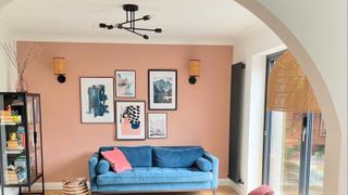 living room with white walls and ceiling, a pink painted wall and blue velvet sofa