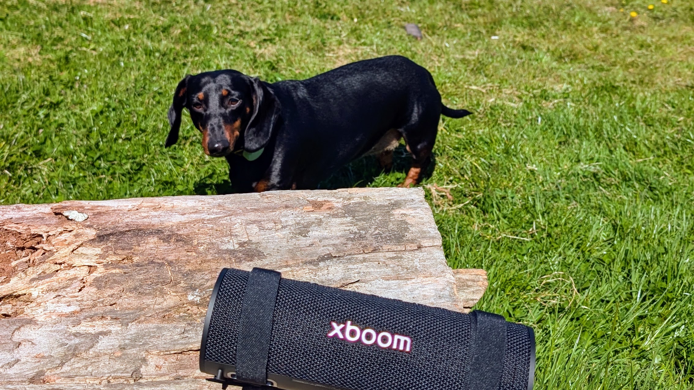 LG xboom Grab