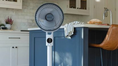 Fans vs Air Circulators