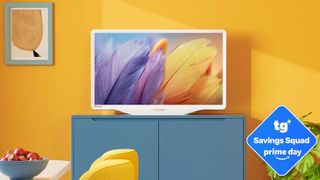 The Hisense Deco TV on a teal-colored credenza displaying colorful feathers