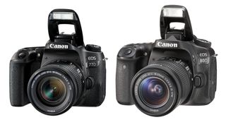 Canon 77D vs 80D: which EOS DSLR is best?