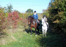 Bridle_Path_2.jpg