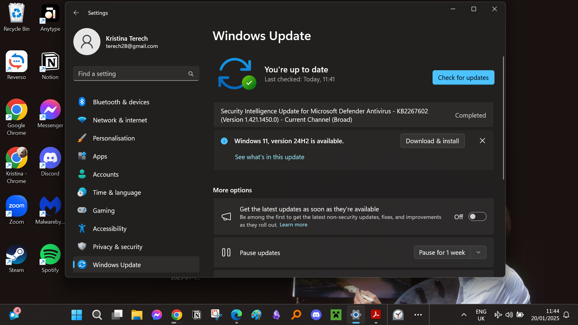 A screenshot of the Windows Update screen showing the option to delay the update and 'Check for updates'