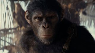 Noa the chimp in Kingdom of the Planet of the Apes