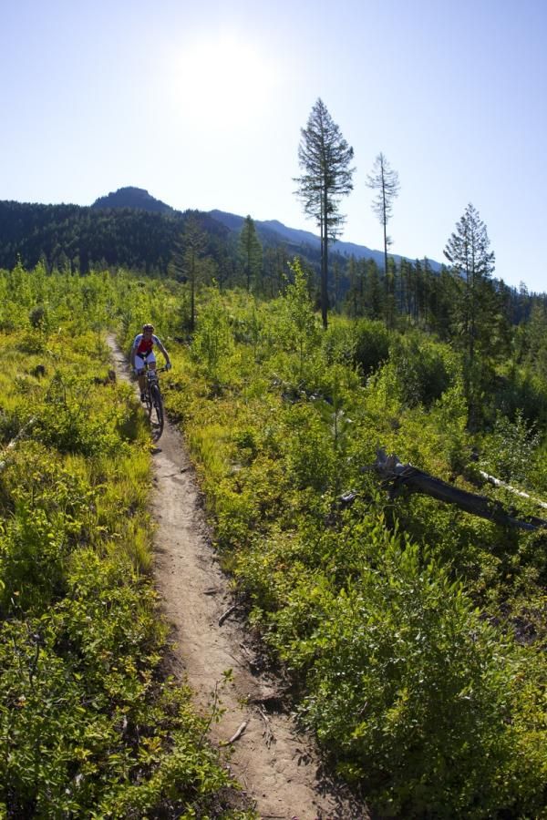 A racer on some singletrack