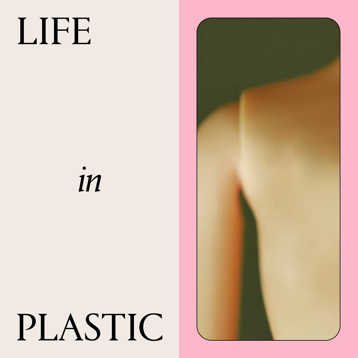Life in Plastic1