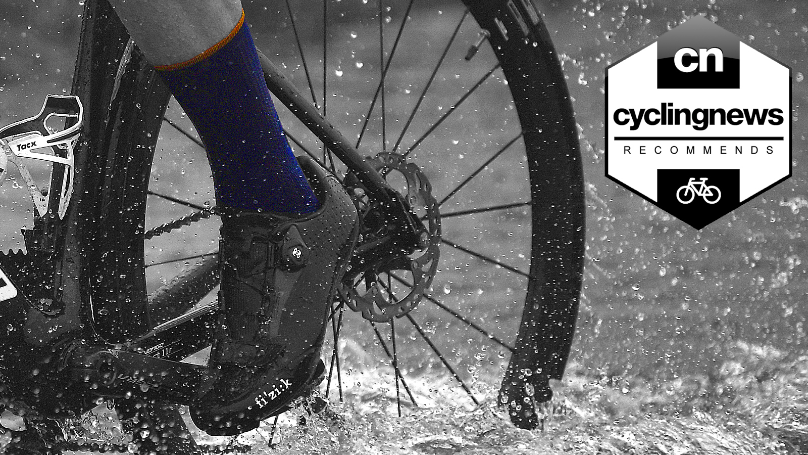 LIN 4 Pack Cycling Socks for Men & Women-Moisture Wicking Biking Sports Crew Socks for Mountain Road Bike