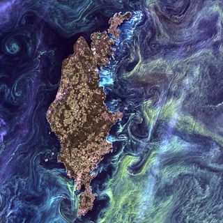 Phytoplankton bloom near Scotland captured by Landsat Program.