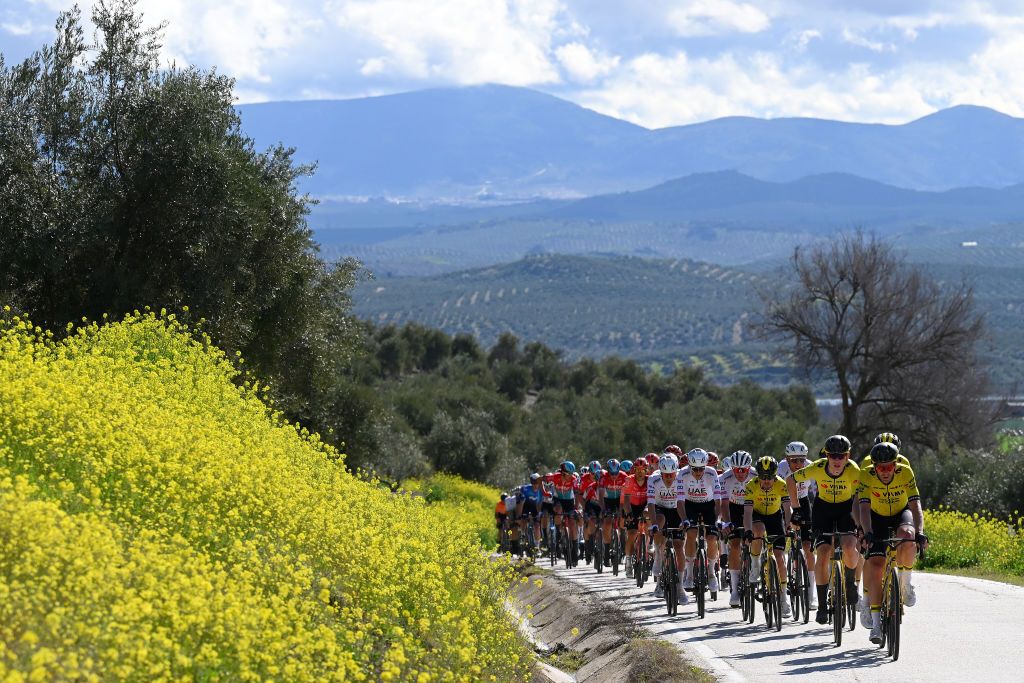 UBEDA SPAIN FEBRUARY 12 A general view of Julien Vermote of France and Team Visma Lease a Bike and the peloton passing through a landscape during the 3rd Clasica Jaen Paraiso Interior 2024 a 1583km one day race from Baeza to Ubeda on February 12 2024 in Ubeda Spain Photo by Tim de WaeleGetty Images