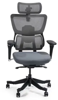 FlexiSpot C7 Max Premium Ergonomic Office Chair