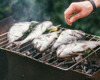 Man's hand salt fish. He is cooking delicious and fresh grilled fish with lemon on the Barbeque grill at the garden in summer