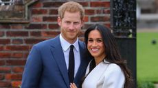 Meghan Markle and Prince Harry attend a photo call at Kensington Palace to mark their engagement Featuring: Prince Harry, Meghan Markle Where: London, United Kingdom When: 27 Nov 2017 